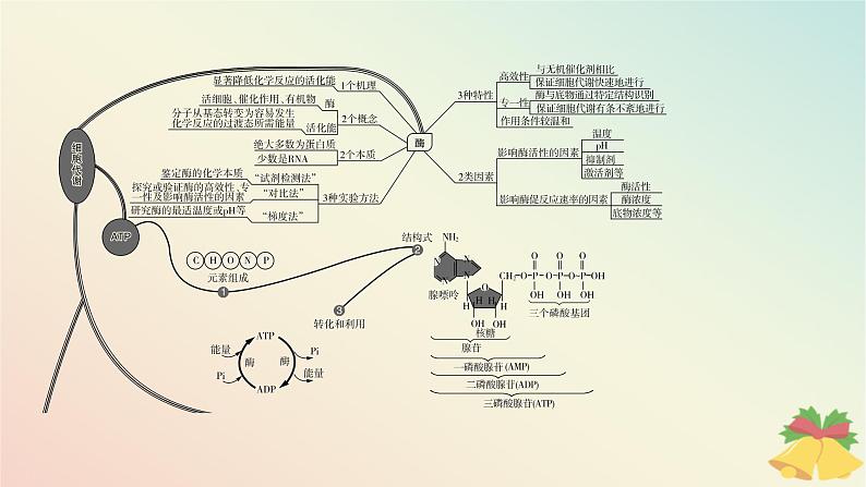 江苏专版2023_2024学年新教材高中生物第三章细胞中能量的转换和利用本章知识网络课件苏教版必修104