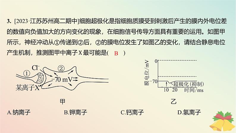 江苏专版2023_2024学年新教材高中生物第一章人体稳态维持的生理基础章末测评卷课件苏教版选择性必修104