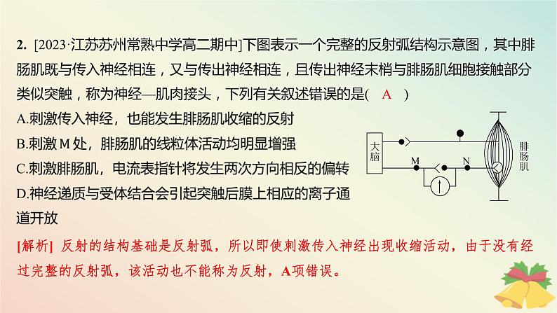 江苏专版2023_2024学年新教材高中生物第一章人体稳态维持的生理基础第一节神经调节微专题一动作电位的传导与传递相关实验分析题分层作业课件苏教版选择性必修103