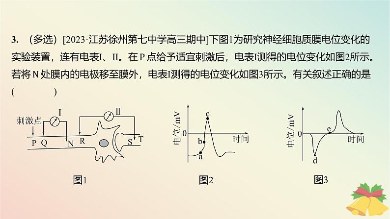 江苏专版2023_2024学年新教材高中生物第一章人体稳态维持的生理基础第一节神经调节微专题一动作电位的传导与传递相关实验分析题分层作业课件苏教版选择性必修104