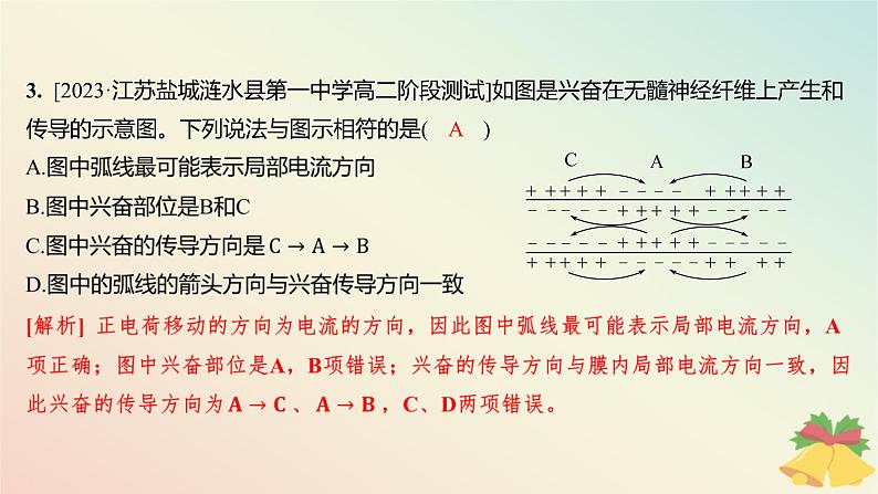 江苏专版2023_2024学年新教材高中生物第一章人体稳态维持的生理基础第一节神经调节第二课时动作电位的产生和传导及神经冲动在神经细胞之间的传递分层作业课件苏教版选择性必修104