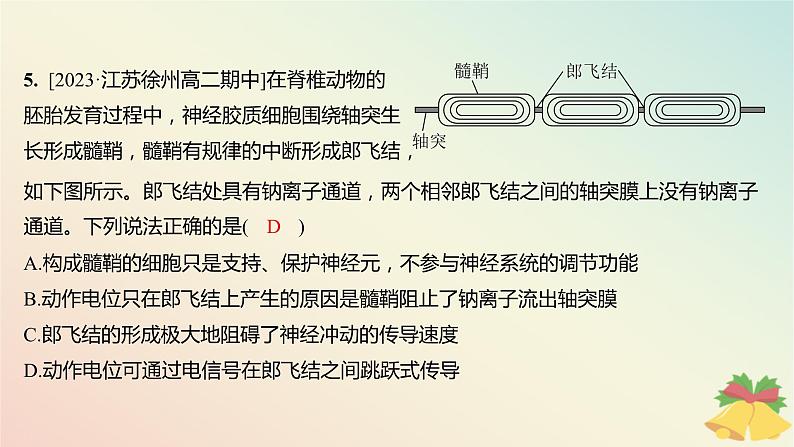 江苏专版2023_2024学年新教材高中生物第一章人体稳态维持的生理基础第一节神经调节第二课时动作电位的产生和传导及神经冲动在神经细胞之间的传递分层作业课件苏教版选择性必修107