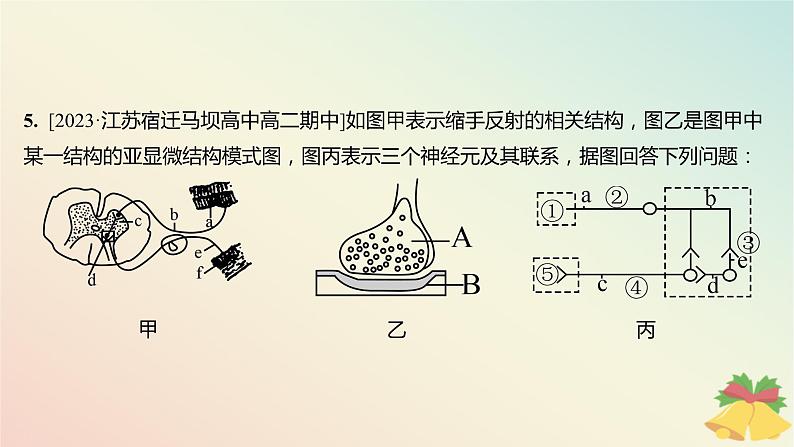 江苏专版2023_2024学年新教材高中生物第一章人体稳态维持的生理基础第一节神经调节第三课时神经调节的基本方式是反射分层作业课件苏教版选择性必修1第7页