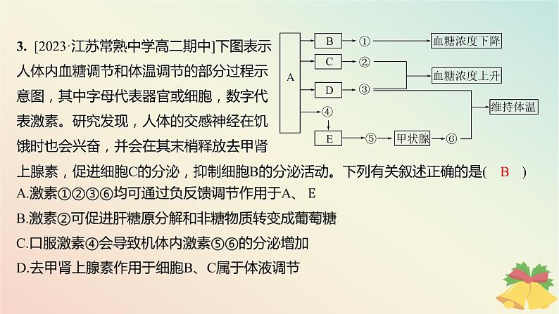 江苏专版2023_2024学年新教材高中生物第二章人体内环境与稳态微专题三下丘脑的作用及生命活动调节类型的判断分层作业课件苏教版选择性必修104