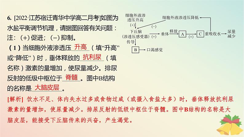 江苏专版2023_2024学年新教材高中生物第二章人体内环境与稳态第三节水盐平衡的调节分层作业课件苏教版选择性必修108