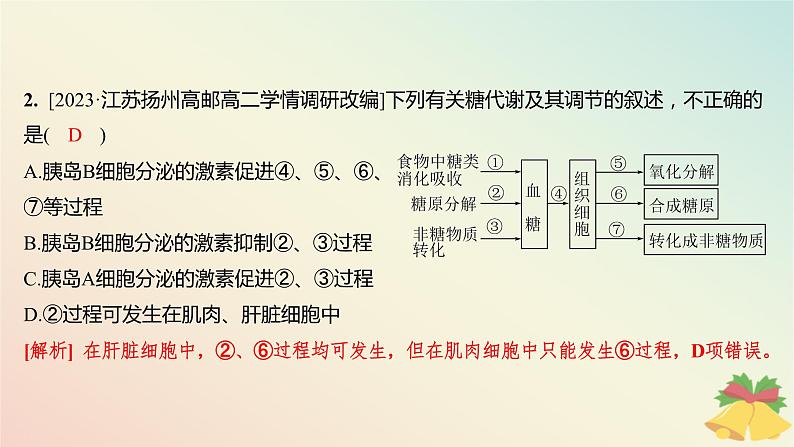 江苏专版2023_2024学年新教材高中生物第二章人体内环境与稳态第二节血糖平衡的调节分层作业课件苏教版选择性必修1第3页