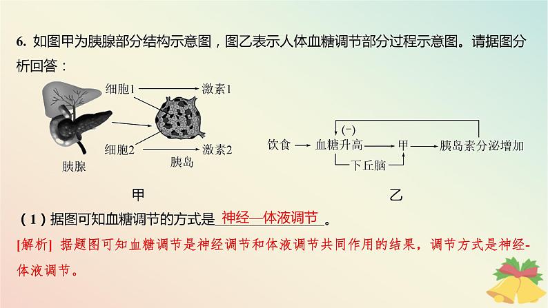 江苏专版2023_2024学年新教材高中生物第二章人体内环境与稳态第二节血糖平衡的调节分层作业课件苏教版选择性必修1第8页