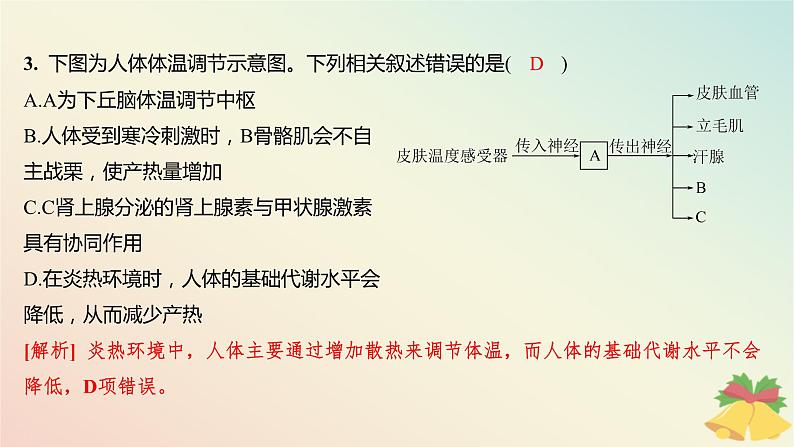 江苏专版2023_2024学年新教材高中生物第二章人体内环境与稳态第四节体温稳定的调节分层作业课件苏教版选择性必修105