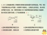 江苏专版2023_2024学年新教材高中生物第四章植物生命活动的调节微专题四生长素生理作用的相关曲线分析和实验设计分层作业课件苏教版选择性必修1