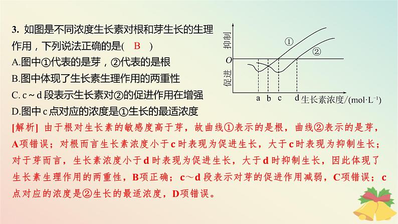 江苏专版2023_2024学年新教材高中生物第四章植物生命活动的调节微专题四生长素生理作用的相关曲线分析和实验设计分层作业课件苏教版选择性必修1第5页