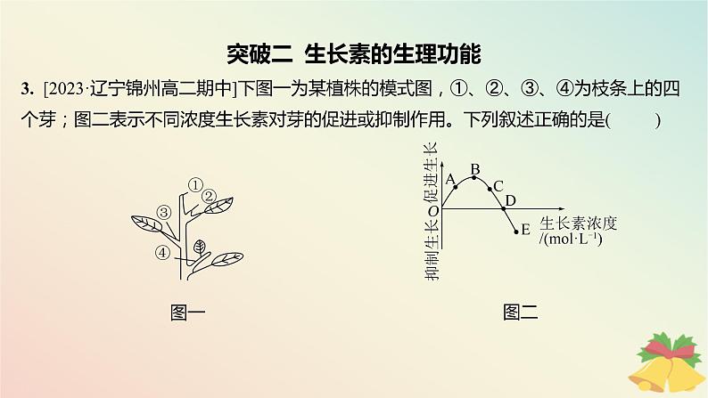 江苏专版2023_2024学年新教材高中生物第四章植物生命活动的调节本章知识网络分层作业课件苏教版选择性必修105