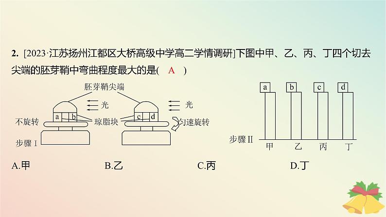 江苏专版2023_2024学年新教材高中生物第四章植物生命活动的调节第一节植物生长素第一课时生长素的发现和生长素的合成分布与运输分层作业课件苏教版选择性必修104