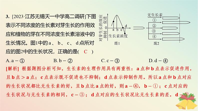 江苏专版2023_2024学年新教材高中生物第四章植物生命活动的调节第一节植物生长素第二课时生长素的生理作用分层作业课件苏教版选择性必修1第5页