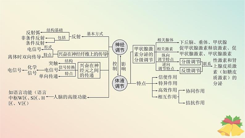 江苏专版2023_2024学年新教材高中生物第一章人体稳态维持的生理基础本章知识网络课件苏教版选择性必修1第4页