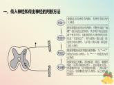 江苏专版2023_2024学年新教材高中生物第一章人体稳态维持的生理基础第一节神经调节微专题一动作电位的传导与传递相关实验分析题课件苏教版选择性必修1