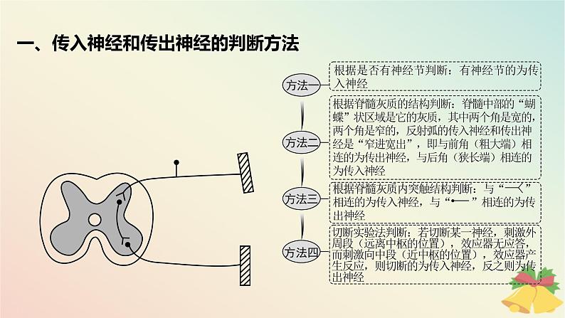 江苏专版2023_2024学年新教材高中生物第一章人体稳态维持的生理基础第一节神经调节微专题一动作电位的传导与传递相关实验分析题课件苏教版选择性必修102