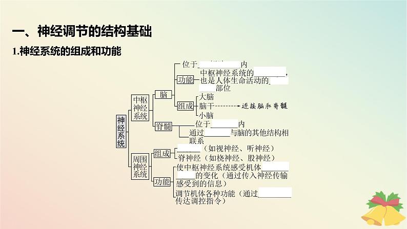 江苏专版2023_2024学年新教材高中生物第一章人体稳态维持的生理基础第一节神经调节第一课时神经系统的组成课件苏教版选择性必修105