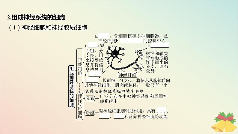 江苏专版2023_2024学年新教材高中生物第一章人体稳态维持的生理基础第一节神经调节第一课时神经系统的组成课件苏教版选择性必修106