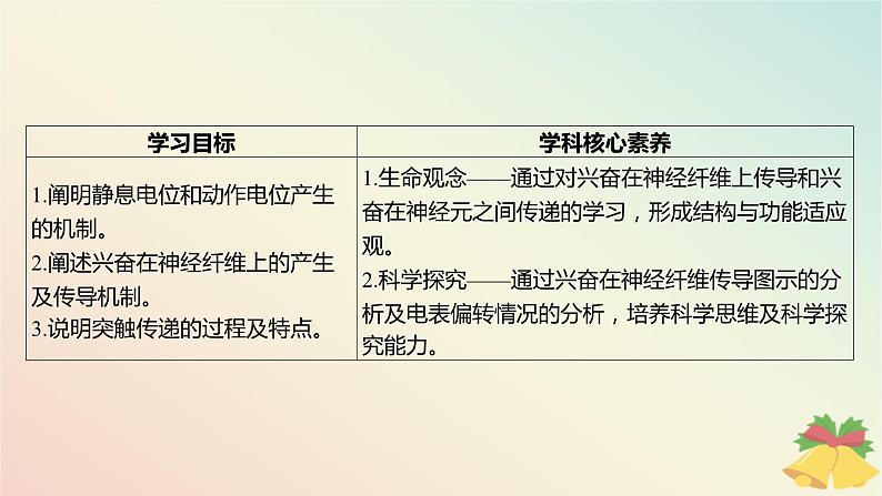 江苏专版2023_2024学年新教材高中生物第一章人体稳态维持的生理基础第一节神经调节第二课时动作电位的产生和传导及神经冲动在神经细胞之间的传递课件苏教版选择性必修103