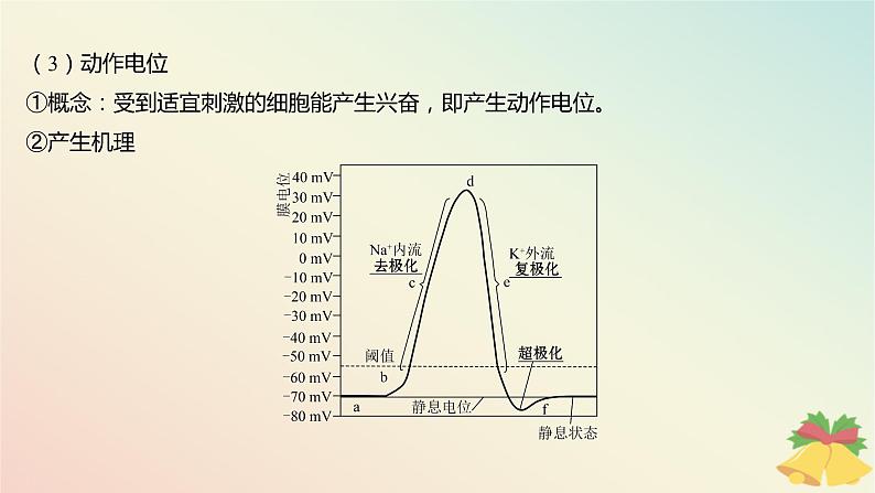 江苏专版2023_2024学年新教材高中生物第一章人体稳态维持的生理基础第一节神经调节第二课时动作电位的产生和传导及神经冲动在神经细胞之间的传递课件苏教版选择性必修107