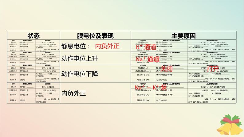 江苏专版2023_2024学年新教材高中生物第一章人体稳态维持的生理基础第一节神经调节第二课时动作电位的产生和传导及神经冲动在神经细胞之间的传递课件苏教版选择性必修108