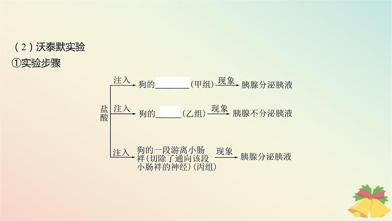 江苏专版2023_2024学年新教材高中生物第一章人体稳态维持的生理基础第二节体液调节第一课时激素和激素调节作用的发现及内分泌系统分泌多种类型的激素课件苏教版选择性必修106