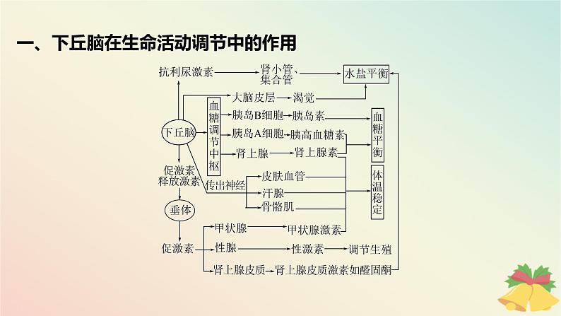 江苏专版2023_2024学年新教材高中生物第二章人体内环境与稳态微专题三下丘脑的作用及生命活动调节类型的判断课件苏教版选择性必修102