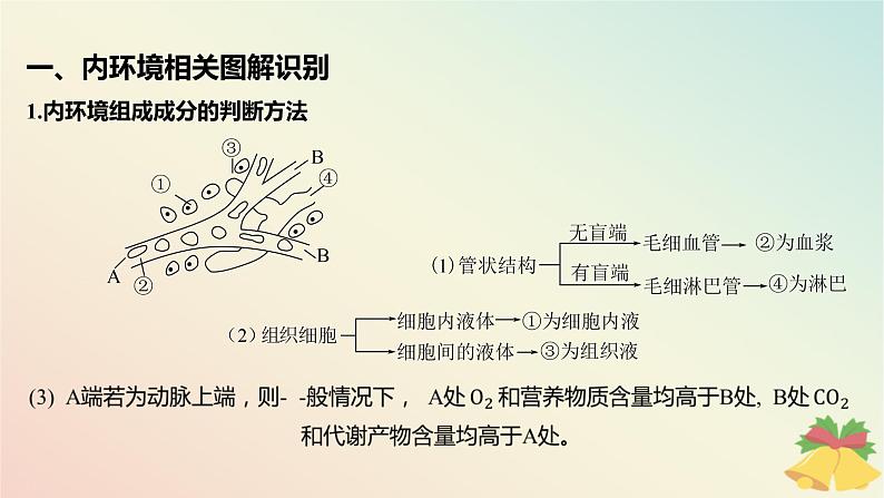 江苏专版2023_2024学年新教材高中生物第二章人体内环境与稳态微专题二内环境的结构识别跨膜分析及组织水肿原因课件苏教版选择性必修102