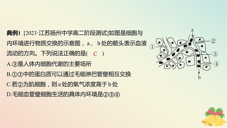 江苏专版2023_2024学年新教材高中生物第二章人体内环境与稳态微专题二内环境的结构识别跨膜分析及组织水肿原因课件苏教版选择性必修103