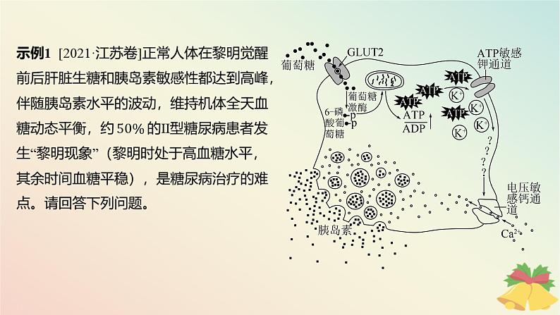 江苏专版2023_2024学年新教材高中生物第二章人体内环境与稳态本章知识网络课件苏教版选择性必修108