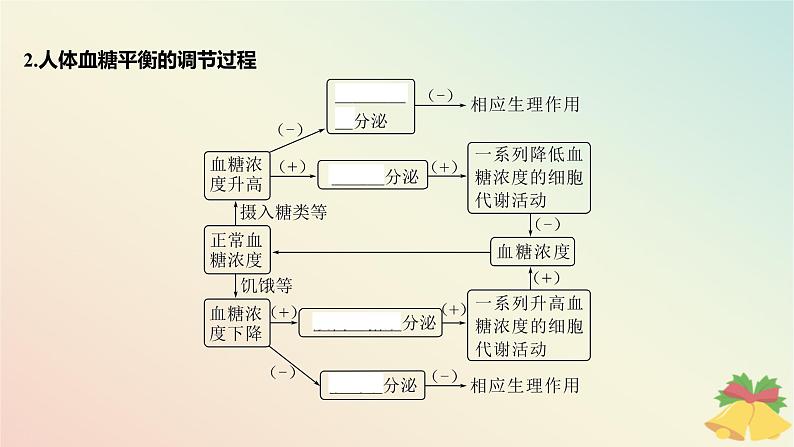 江苏专版2023_2024学年新教材高中生物第二章人体内环境与稳态第二节血糖平衡的调节课件苏教版选择性必修107