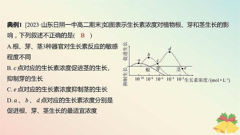 江苏专版2023_2024学年新教材高中生物第四章植物生命活动的调节微专题四生长素生理作用的相关曲线分析和实验设计课件苏教版选择性必修105