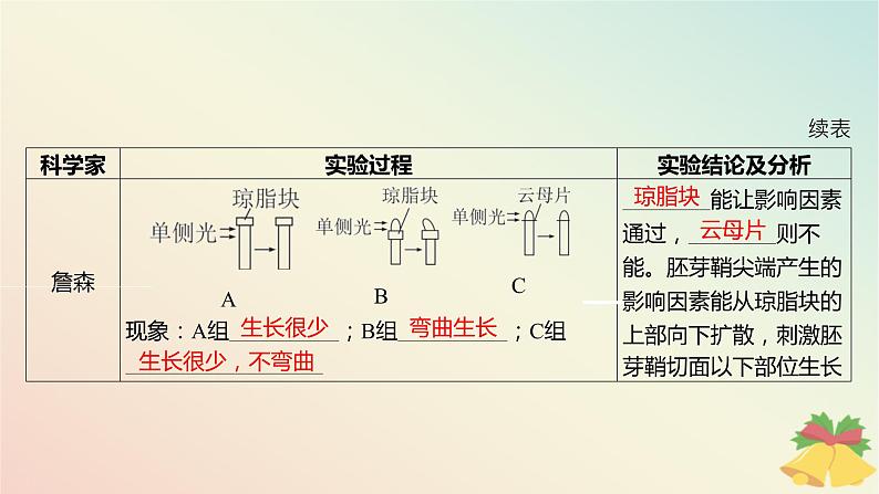 江苏专版2023_2024学年新教材高中生物第四章植物生命活动的调节第一节植物生长素第一课时生长素的发现和生长素的合成分布与运输课件苏教版选择性必修107