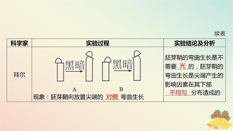 江苏专版2023_2024学年新教材高中生物第四章植物生命活动的调节第一节植物生长素第一课时生长素的发现和生长素的合成分布与运输课件苏教版选择性必修108