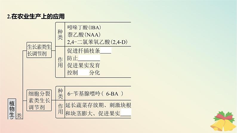 江苏专版2023_2024学年新教材高中生物第四章植物生命活动的调节第二节其他植物激素第二课时植物生长调节剂和调节植物生命活动的其他因素课件苏教版选择性必修106