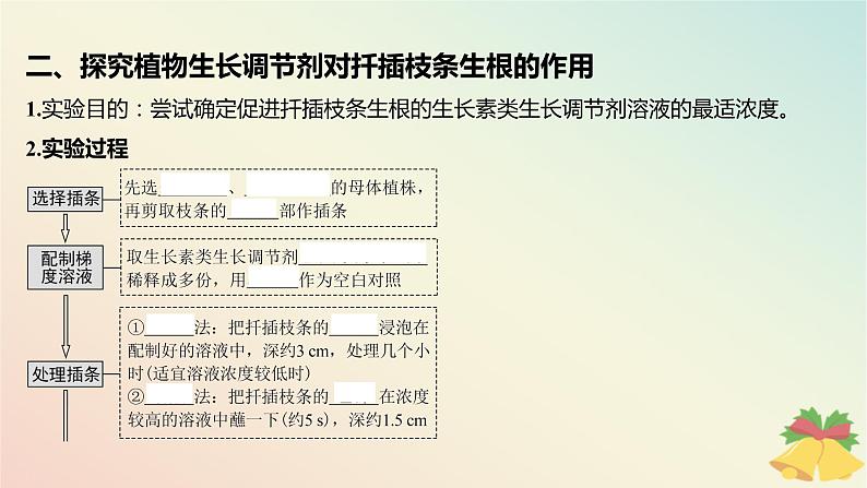 江苏专版2023_2024学年新教材高中生物第四章植物生命活动的调节第二节其他植物激素第二课时植物生长调节剂和调节植物生命活动的其他因素课件苏教版选择性必修108