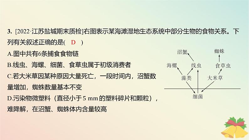 江苏专版2023_2024学年新教材高中生物第三章生态系统章末测评课件苏教版选择性必修204