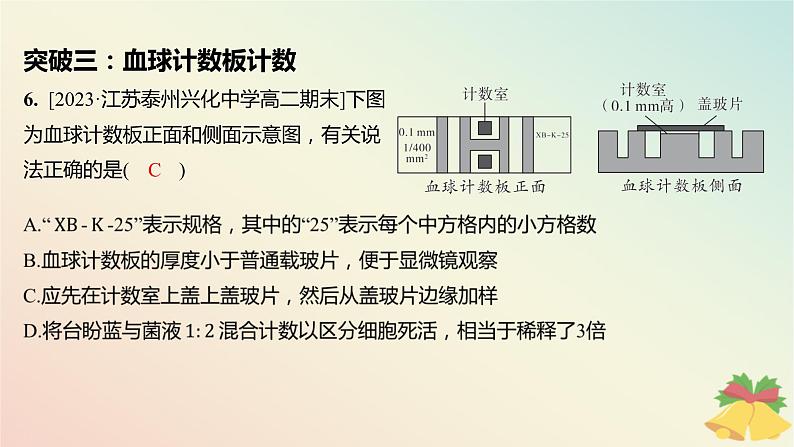 江苏专版2023_2024学年新教材高中生物第一章种群章末培优课件苏教版选择性必修2第7页