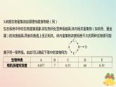 江苏专版2023_2024学年新教材高中生物第三章生态系统微专题一食物链网的构建方法及生态系统中能量流动的相关计算课件苏教版选择性必修2