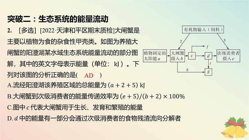 江苏专版2023_2024学年新教材高中生物第三章生态系统章末培优课件苏教版选择性必修203