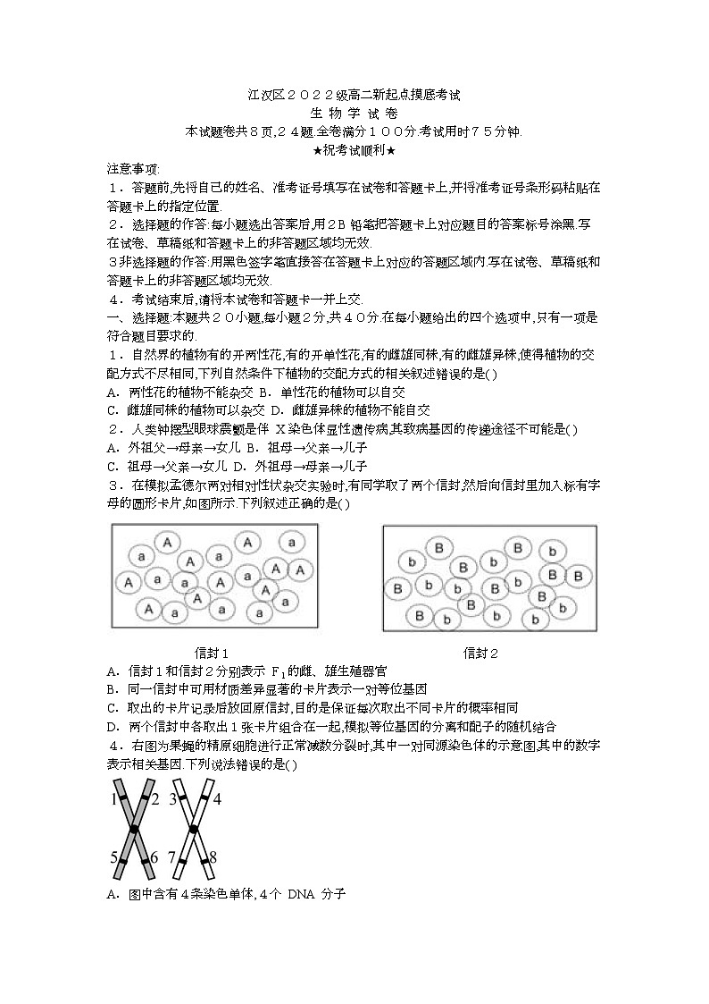 湖北省武汉市江汉区2023-2024学年高二生物上学期开学摸底考试试题（Word版附答案）01