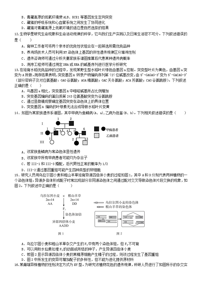 广东省东莞市东华高级中学2023-2024学年高二上学期开学生物试题第3页