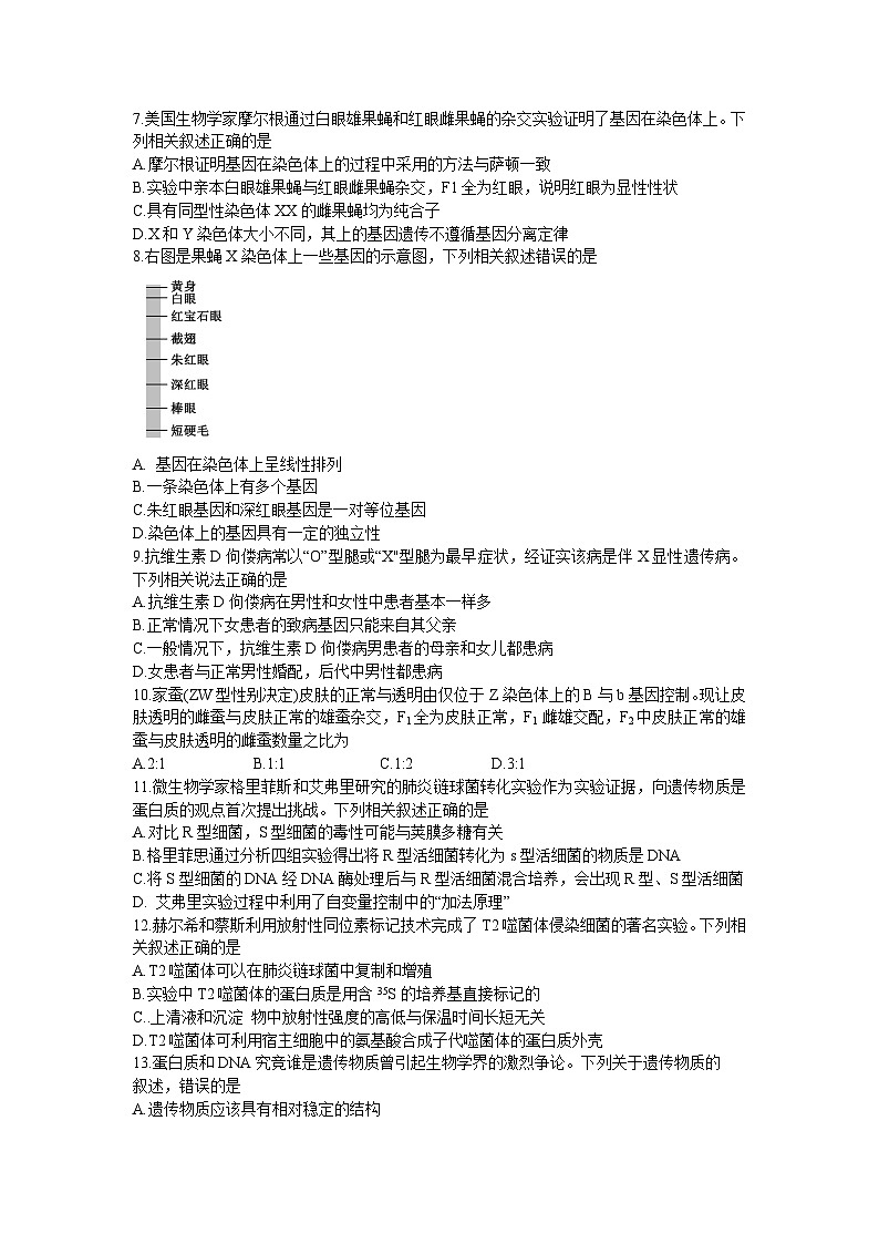 四川省成都东部新区养马高级中学2023-2024学年高二上学期开学考试生物试题02