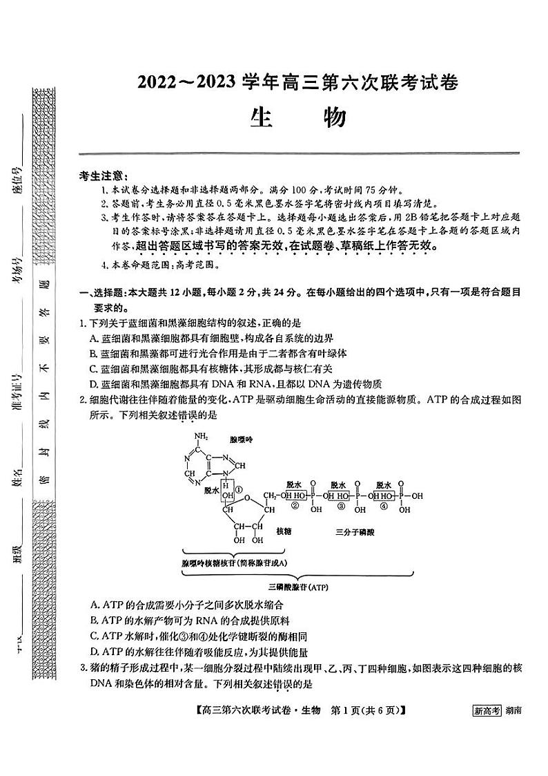 2022-2023学年高三第六次联考试卷生物试题第1页