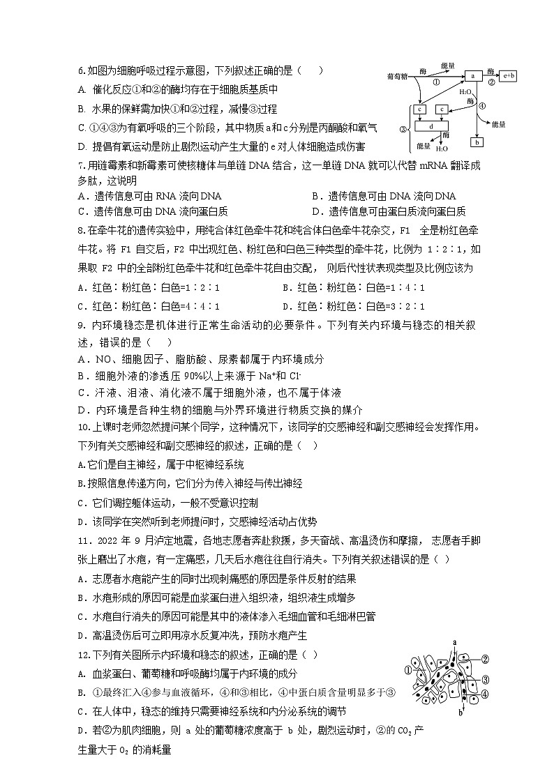 湖南省株洲市远恒佳景炎高级中学2023-2024学年高二上学期入学考试生物试题第2页