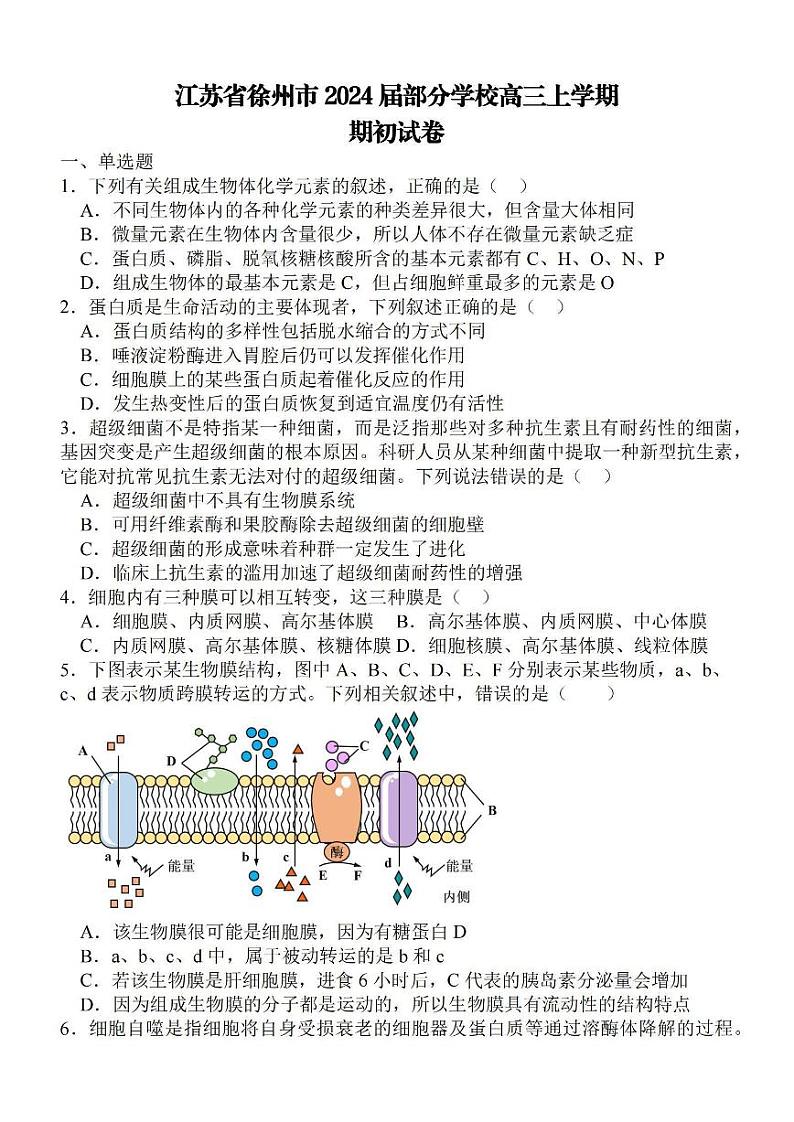 江苏省徐州部分学校2023-2024学年高三上学期9月阶段性考试生物试题及答案第1页
