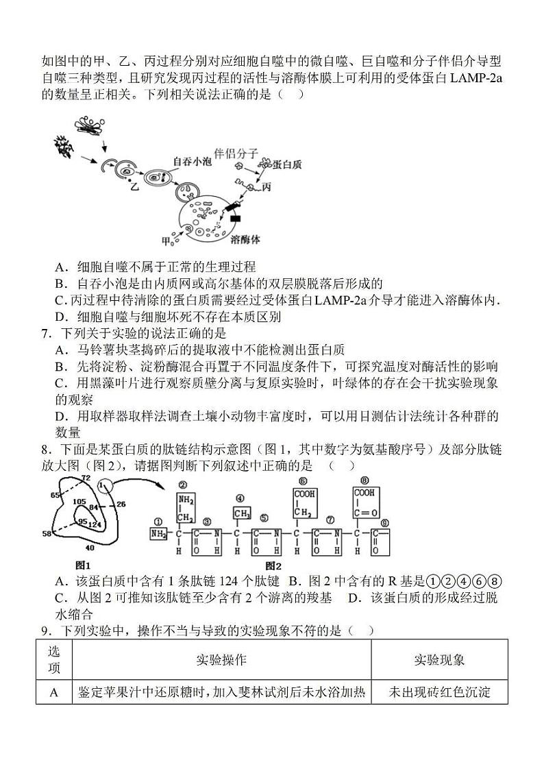 江苏省徐州部分学校2023-2024学年高三上学期9月阶段性考试生物试题及答案第2页