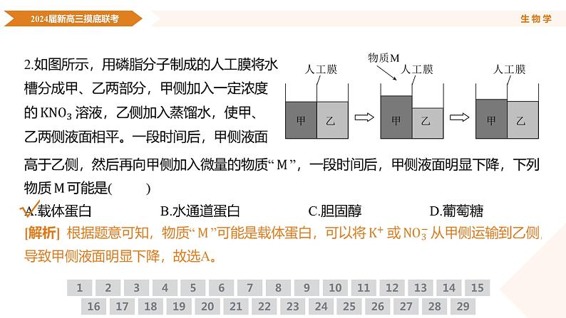 2024届新高三摸底联考生物学课件第6页