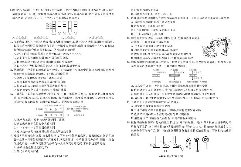 衡水金卷先享题2024届新高三摸底联考生物学第2页