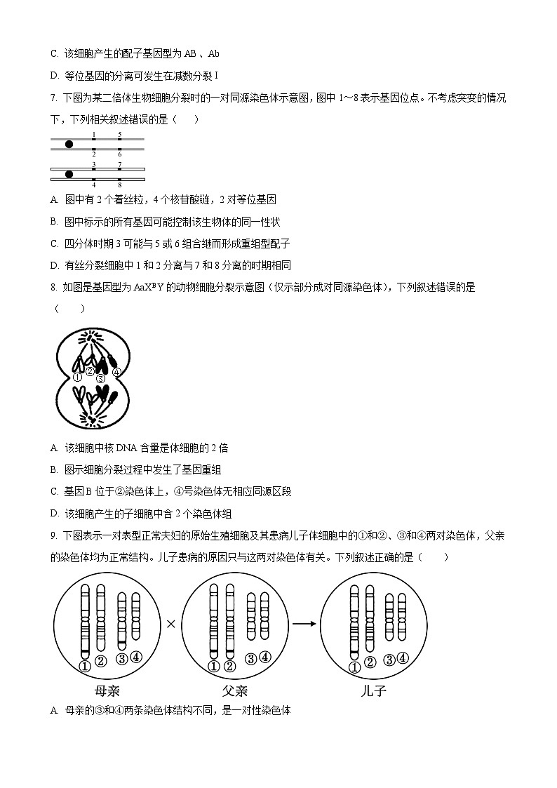 四川省成都市石室中学2023-2024学年高二上学期开学考试生物试题无答案第3页